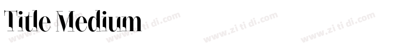 Title Medium字体转换